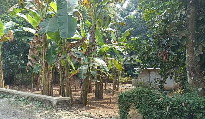 Tanah Kosong Perkampungan Pajerukan Kalibagor Dekat Pasar Sokaraja Banyumas