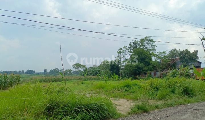 Tanah Kosong 2,1 Ha Sumbang Banyumas Dekat Pasar Tambaksogra, Tahu Sumedang