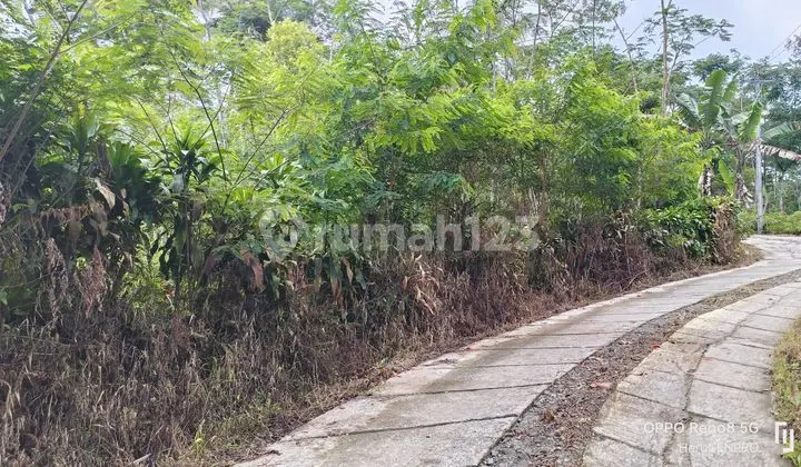 Vacant land 1.1 Ha in Gandatapa Sumbang Banyumas, near Baturaden tourist area.