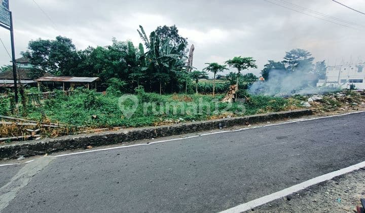 Tanah Kosong Buat Kos Kompleks Kampus Unsoed Purwokerto