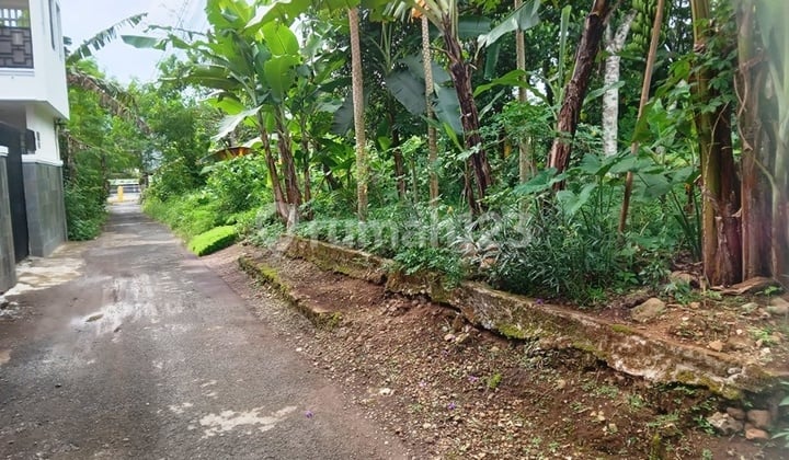 Tanah Kosong Strategis 1146 M Kompleks Kampus Unsoed Purwokerto