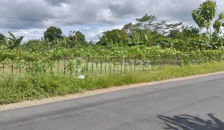 Tanah Kosong Strategis Sumbang Banyumas