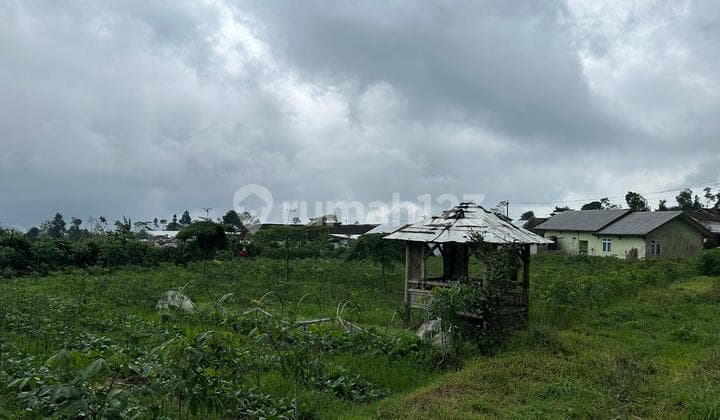Vacant Land in Pratin Serang Tourism Complex Yard, Purbalingga