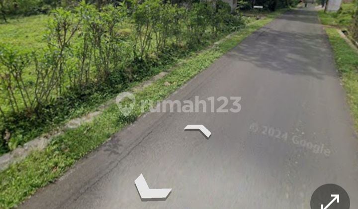 Tanah Kebun Apokat & Durian Sumbang Dekat Wisata Baturaden Purwokerto