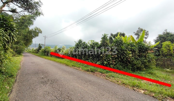 Tanah Kosong 8,2 Ha Limpakuwus Dekat Wisata Baturaden Purwokerto