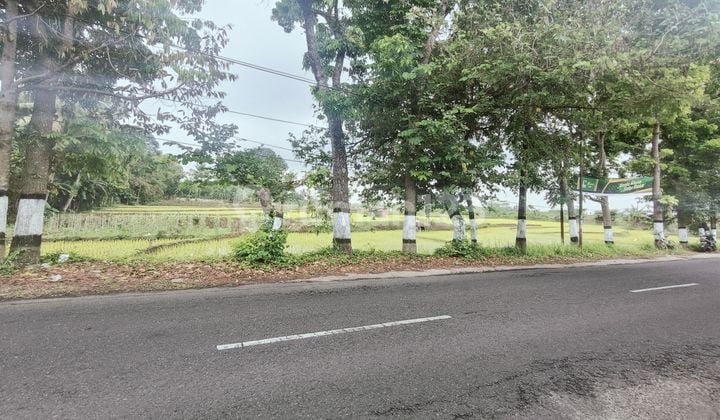 Tanah Kosong Strategis Pinggir Jln Baturaden Purwokerto