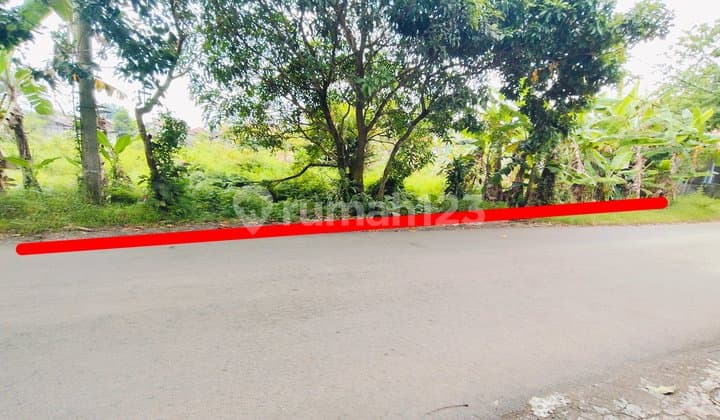 Tanah Kosong Kompleks Taman Andhang Pangrenan Purwokerto