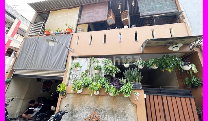 Dhyana Rumah Ukuran 7.7X17m di Jelambar
