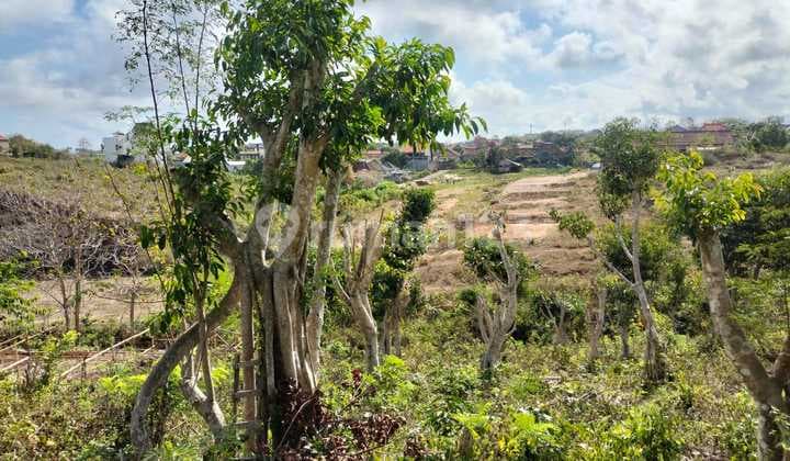 Dijual Tanah di Jalan Langui Kauh, Ungasan