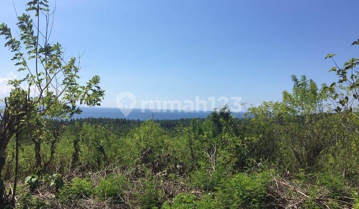 For Sale 1 Hectare Land with Sea View Location in Nusa Penida.