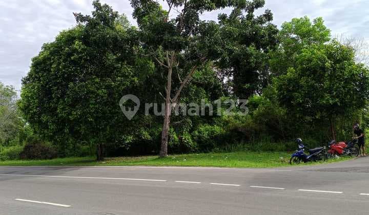 For Sale Strategic Land on Jl. Perkantoran Gubernur, Pangkalpinang, Bangka Belitung
Specifications: Land Area: 13,170 m², Facing: South, Certificate: SHM, Price: 1.5 million/m², Negotiable