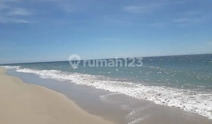 Affordable Land 2.8HA on Laipori Beachfront, Palakahembi, East Sumba
Specifications:
Land Area: 28,360 m²
Dimensions: 98 x 288
Legality: SHM (Certificate of Freehold Title)
Price: 135,000/m² Negotiable
Location:
Palakahembi Village, Pandawai Subdistrict, East Sumba Regency, East Nusa Tenggara