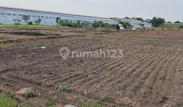 Di Jual Tanah Luas Zona Industri di Driyorejo Gresik