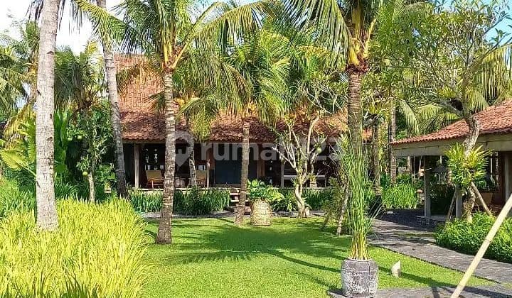 Villa View Sawah 270° – Freehold / Leasehold Di Nyanyi Dekat Nuanu • lt/lb : 1.960 M² / 600 M² • bangunan : 2 Cottage / Bedroom • view : Sawah 270° • air : Ground Water + Filter Otomatis Garam • kolam Renang : 16 X 4 M • listrik : 16,5 Kva • legalitas : I