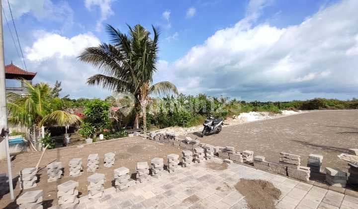 Tanah Kavling Rasa Ubud View Sawah Di Jl. Batukaru, Wanasari Tabanan