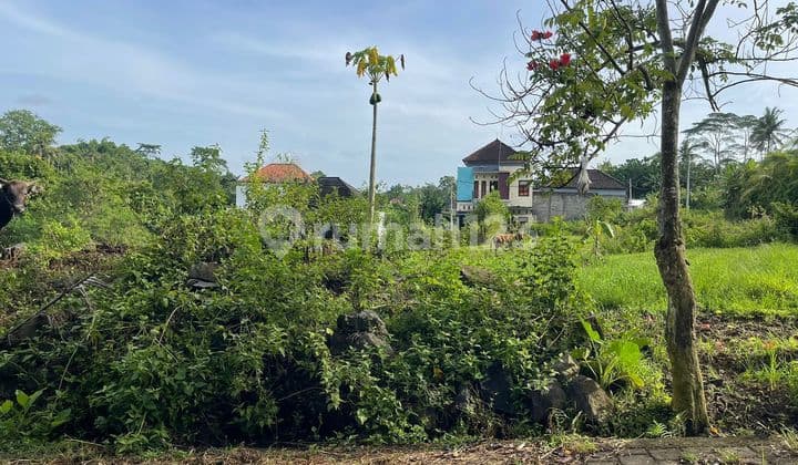 Tanah Kavling Siap Bangun, Lokasi Jl Majapahit Desa Denbantas Tabanan Bali