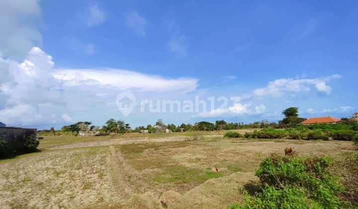 Di Jual 6 Unit Tanah Kavling View Laut Di Jl. Ib Mantra Desa Tulikup, Kec. Gianyar, Kab. Gianyar Bali