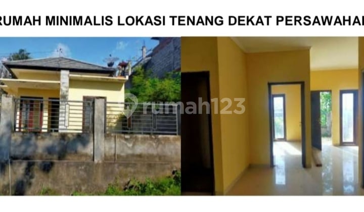 Rumah Murah Minimalis Siap Huni Di Gang Lely Sambangan, Sukasada - Buleleng