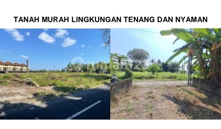 Tanah Kavling Murah Siap Bangun Dan Bebas Banjir Di Jl. Wanasara Baleran, Bongan - Tabanan