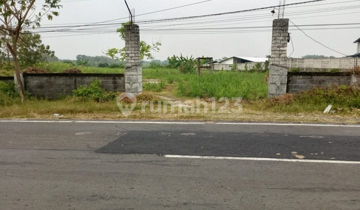 Tanah Luas Murah di 0 Jalan Raya Kembangbahu Lamongan