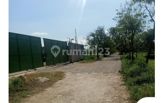 Warehouse Ready for Business in Industrial Area, Near Suramadu and Tanjung Butuh Container Terminal Bangkalan