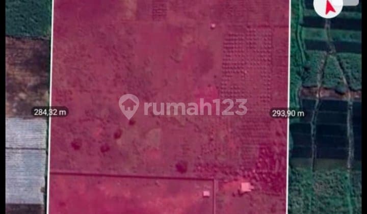 Tanah Luas Strategis Zona Industri di Ngoro, Mojokerto