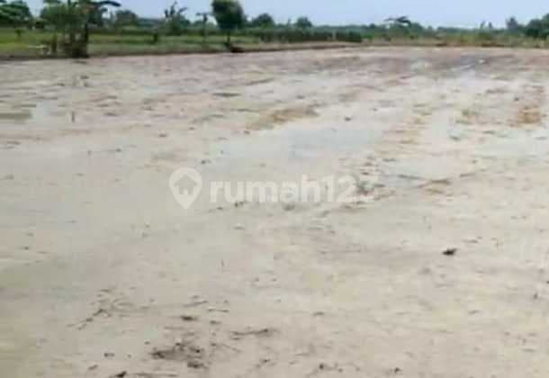 Cheap Industrial Zone Land for Sale in Cerme, Gresik
