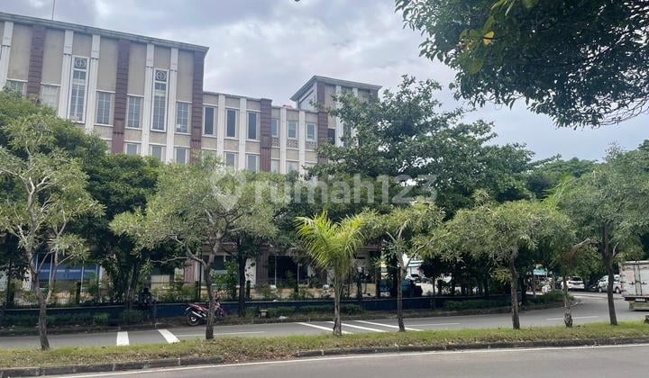 Lahan 6285 Kemayoran Murah Strategis Jarang Ada Total NJOP 200 Dijual 135M