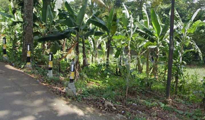 Lahan 200 Ha Harga NJOP di Suka Makmur Bogor