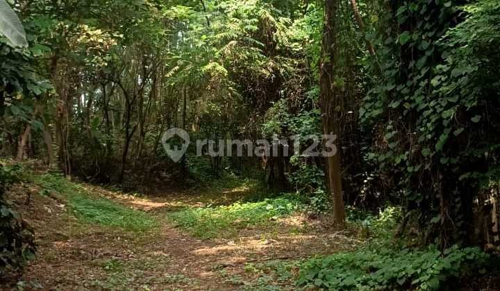 LAND 50% BELOW NJOP IN BEJI DEPOK SUITABLE FOR HOUSING