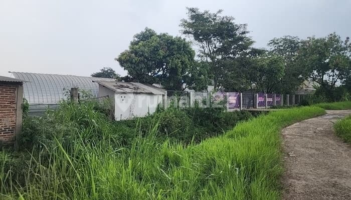 Dilelang, Tanah Pemancingan di Bojongsoang, Bandung