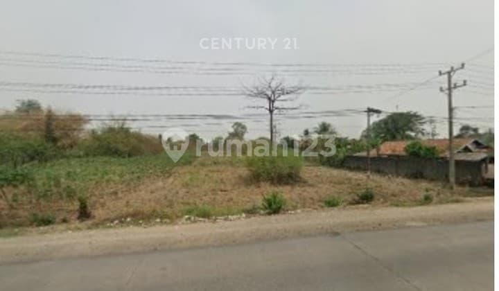 Dijual Tanah Datar Di Jl Lintas Sumatera Lampung Tengah DM15943