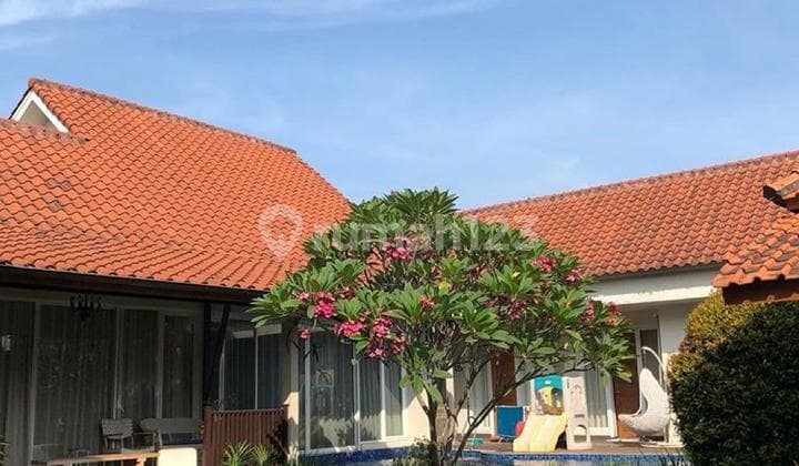 Luxury House in Bintaro with Swimming Pool and Office Space Bs-17272