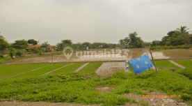 Land For Sale Fast On Jl. Raya Serang, Cikarang, Cibarusah