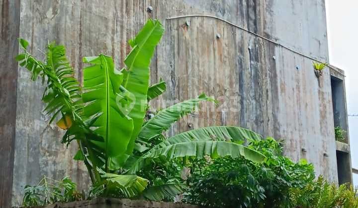 Dijual Rumah Sarang Burung Walet di Sukabumi