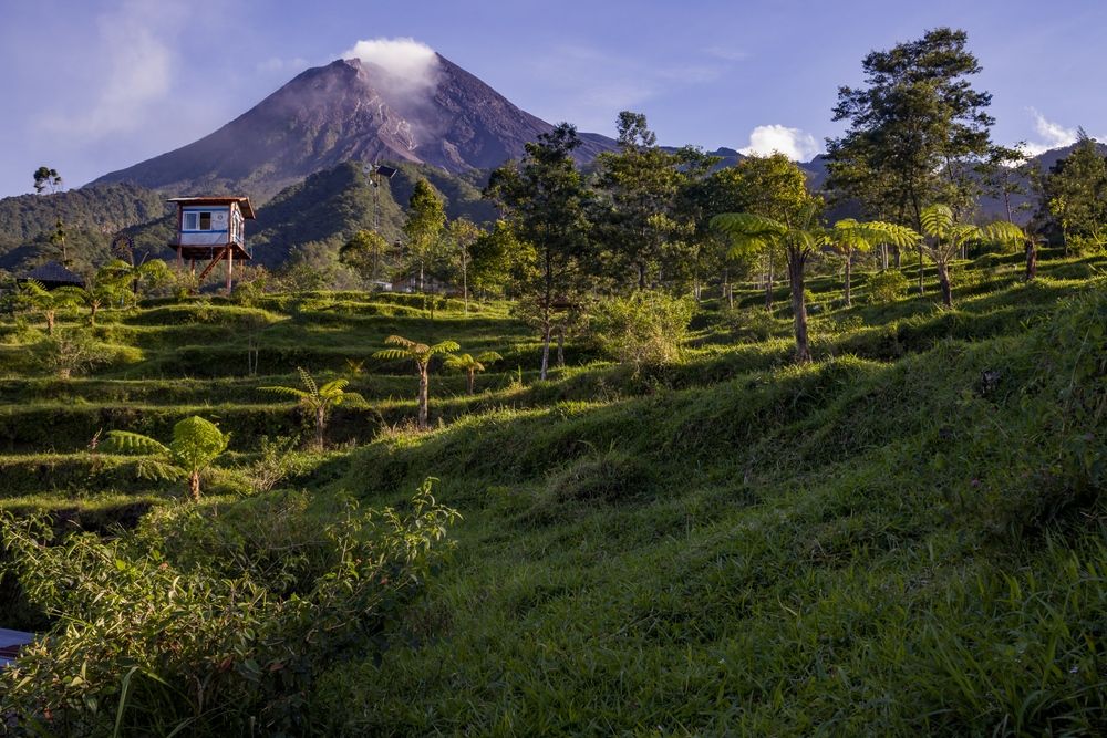Aktivitas di Bukit Klangon (1).jpg