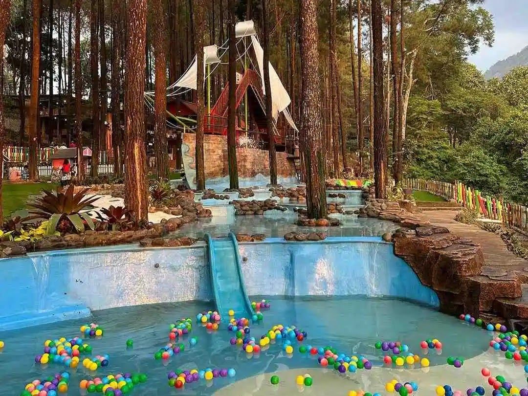 Alas Veenuz Trawas.jpg