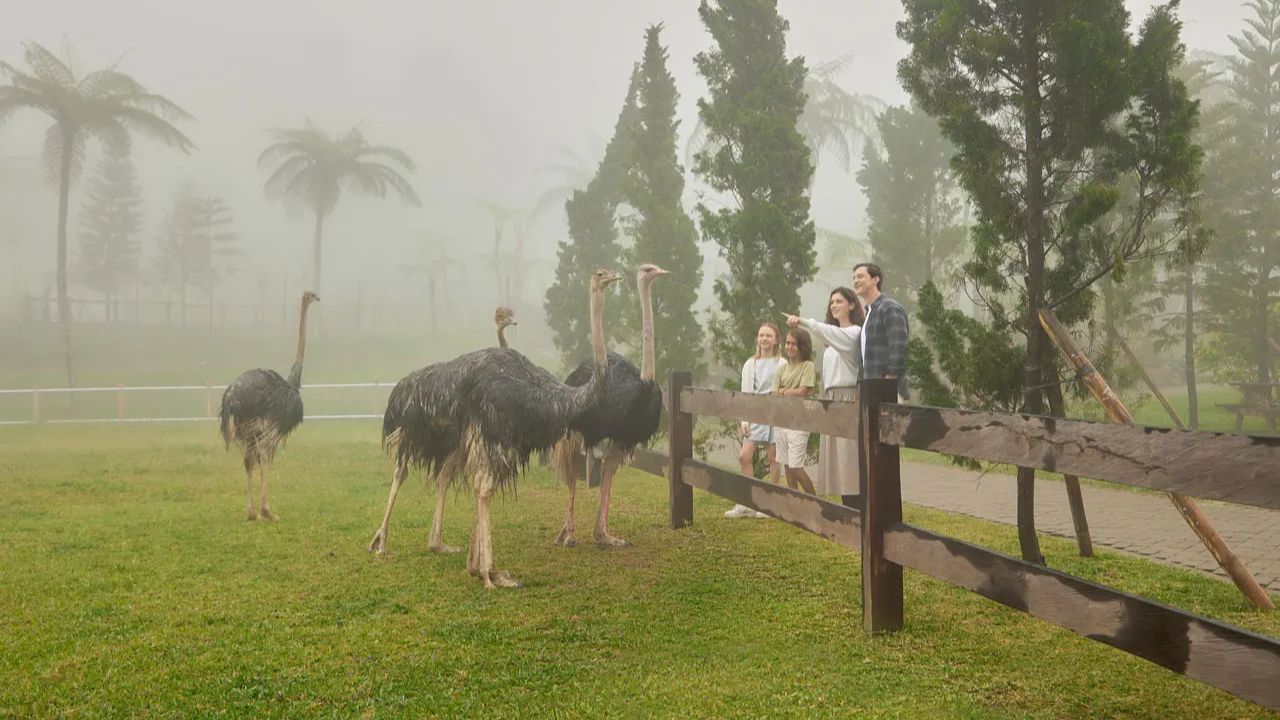 Bali Farm House: Lokasi, Daya Tarik, dan Tiket Masuk