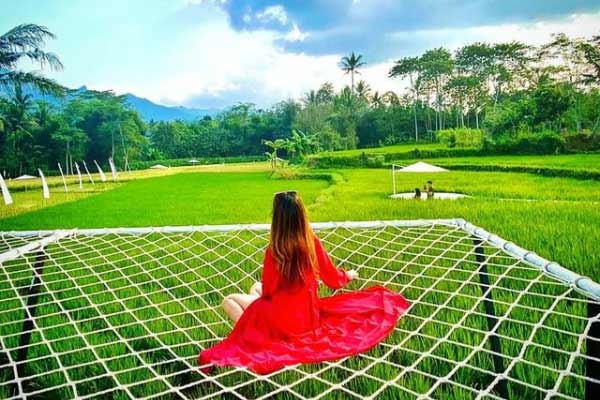 Banyak Spot Foto Menarik.jpg