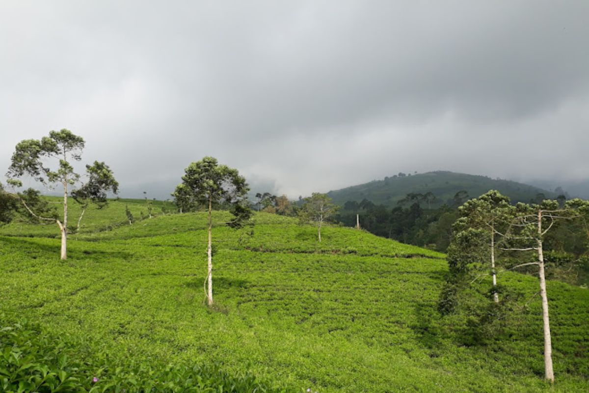 Berfoto atau bersantai sambil ngeteh.jpg