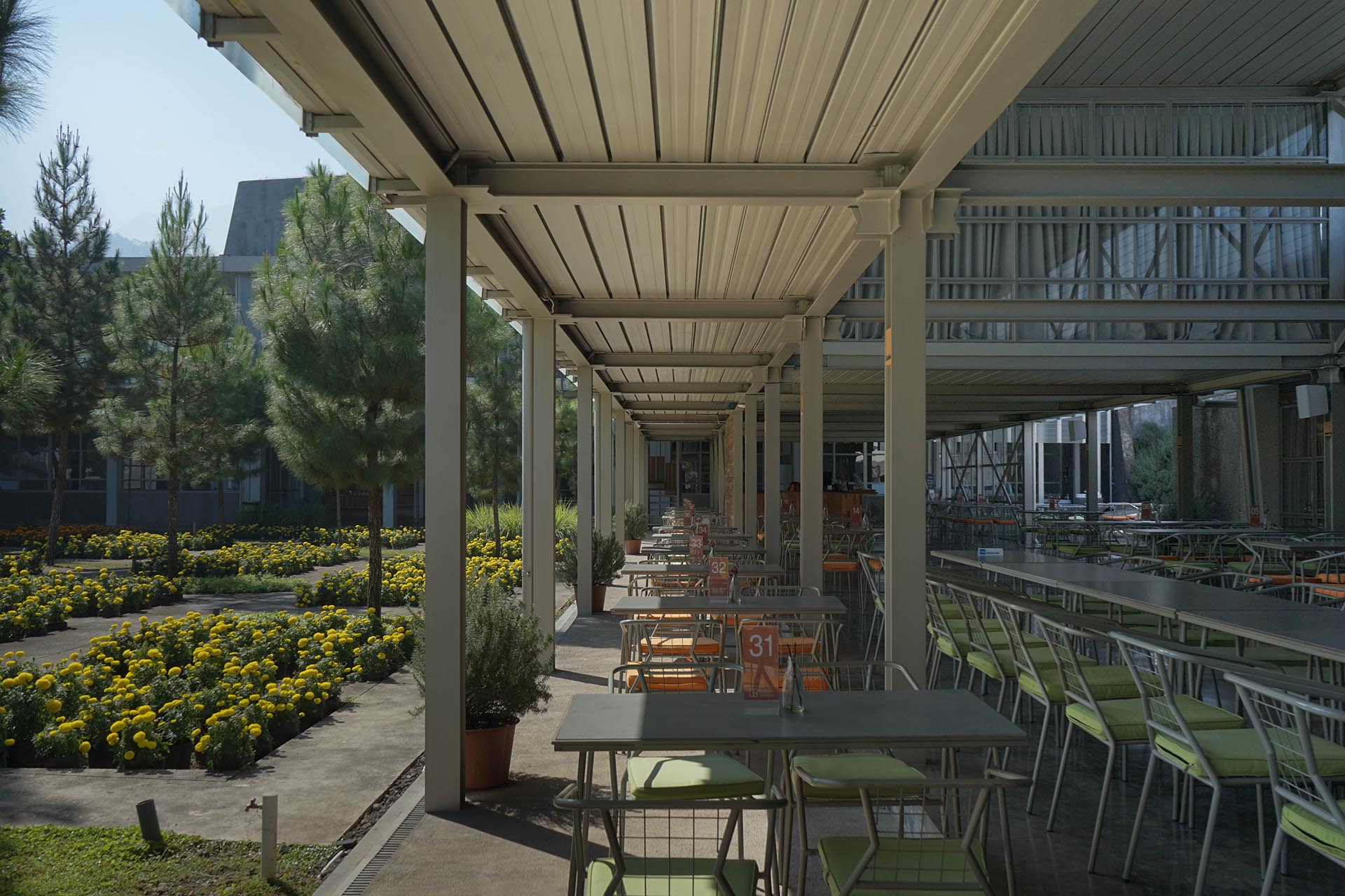 Bersantap di Tengah Kebun Marigold.jpg