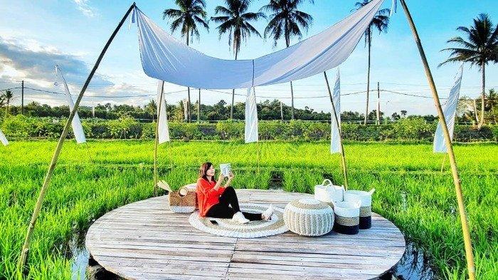 Bukan Area Persawahan Biasa.jpg