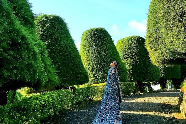 Menjelajahi Keindahan Alam di Bukit Jamur Ciwidey