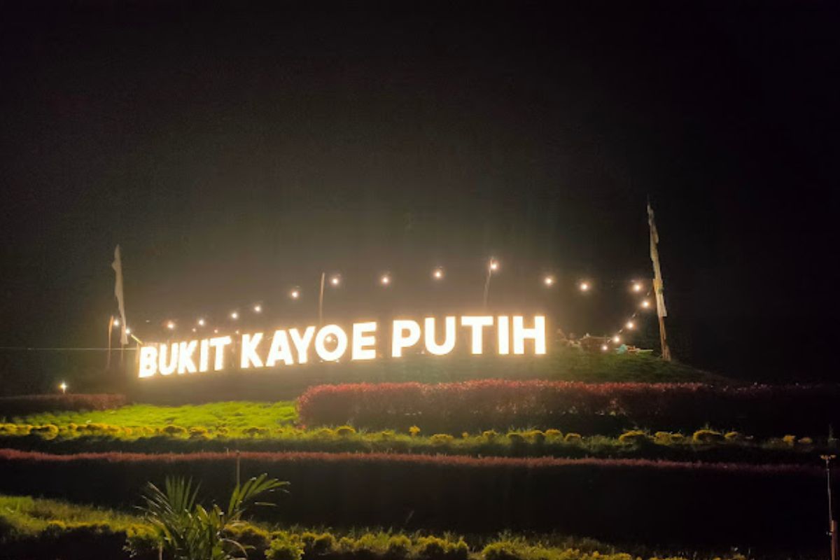 Ulasan Bukit Kayoe Putih: Harga Tiket & Info Lengkap