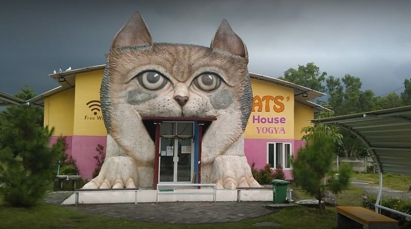 Cats House and Rabbit Town.jpg