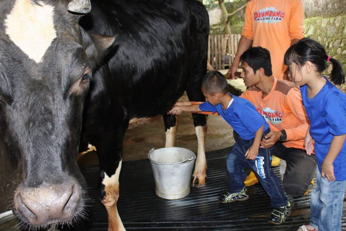 D’Kandang Depok.jpeg