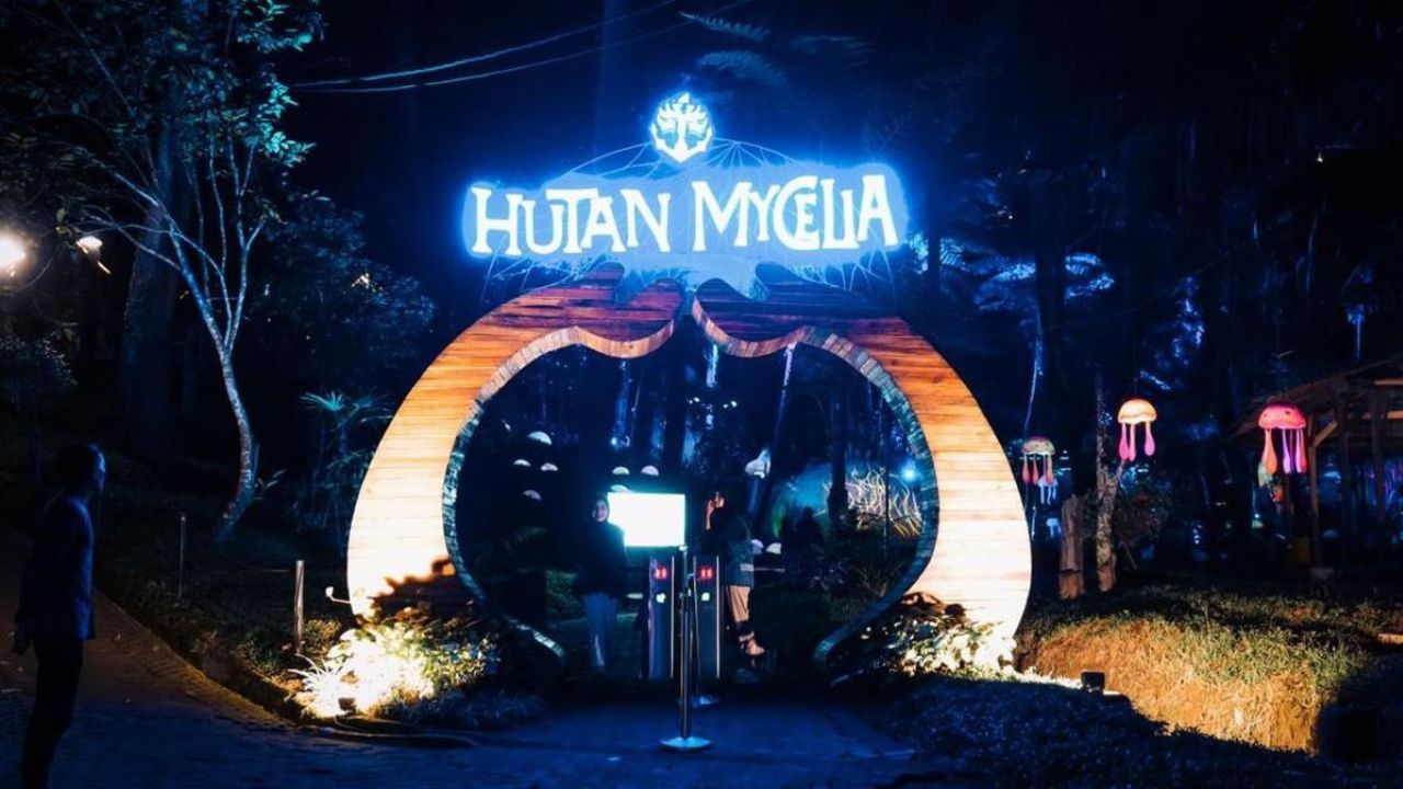 Daya Tarik Hutan Mycelia Bandung.jpg