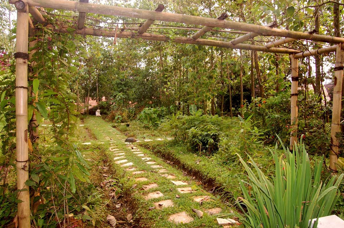 Daya Tarik Kampung 99 Pepohonan.jpg