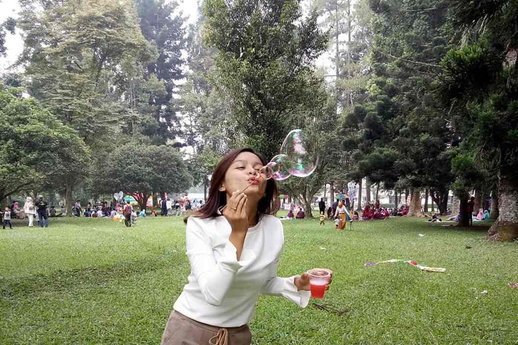 Daya Tarik Taman Selabintana.jpg