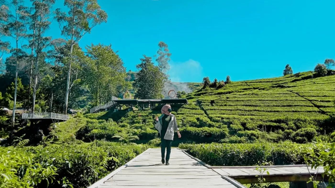 Dekat Perkebunan Teh (1).jpg